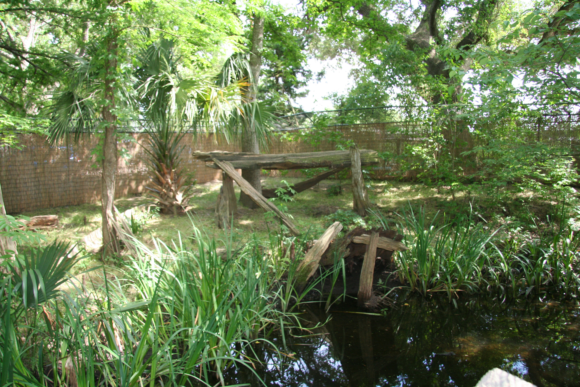 Das weitläufige Gehege der Nordamerikanischen Seeotter/The spacious North American river otter habitat